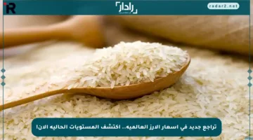 تراجع جديد في أسعار الأرز العالمية.. اكتشف المستويات الحالية الآن!
